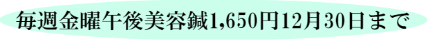 今なら美容鍼初回半額